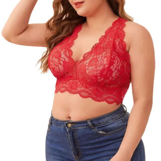 Soutien-gorge dentelle Grande Taille